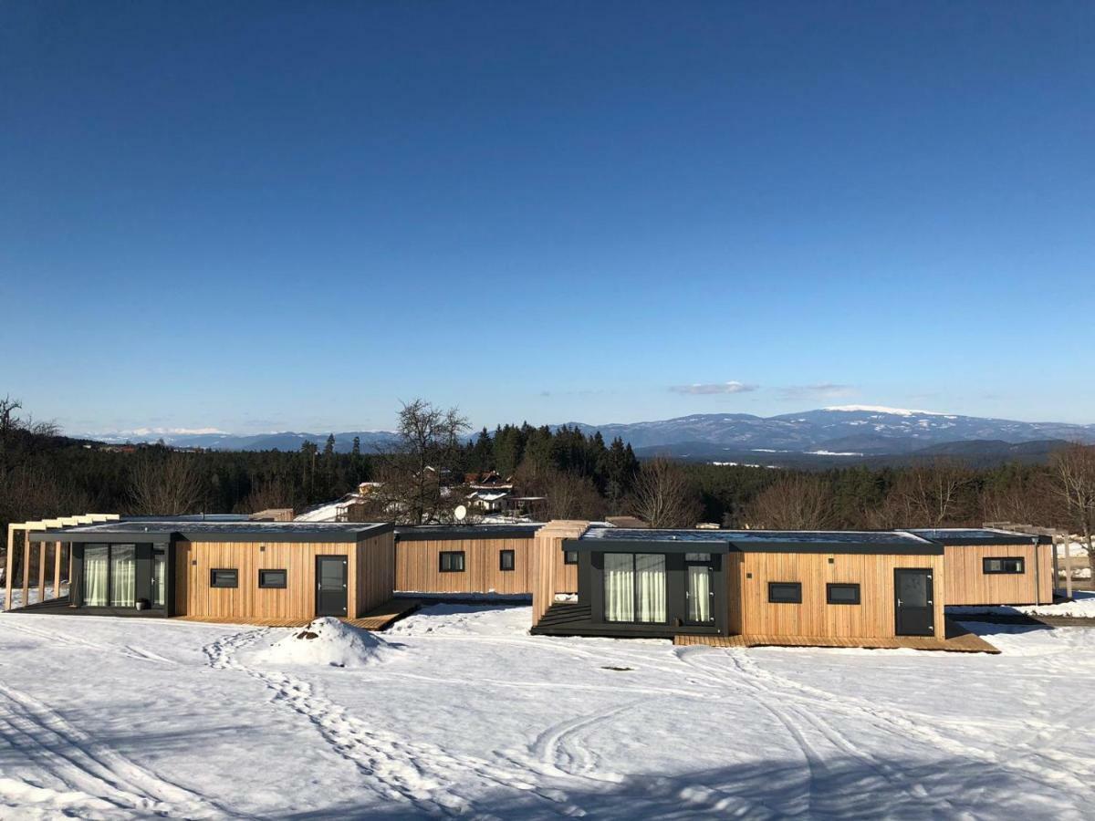 Отель Chaletpark Petzen Feistritz ob Bleiburg Экстерьер фото